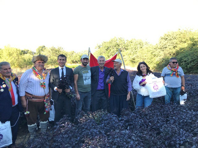 Arapgir Bağbozumu Festivali ile Coştu