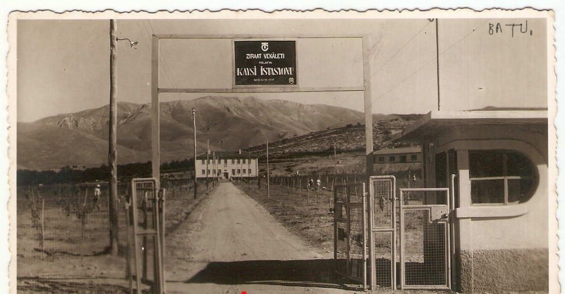 1937 Yılında Malatya Kayısı İstasyonu
