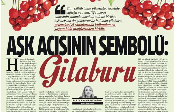 Aşk acısının sembolü: Gilaburu