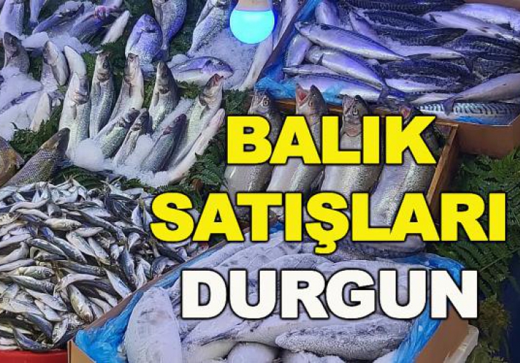 Balık Satışları Durgun