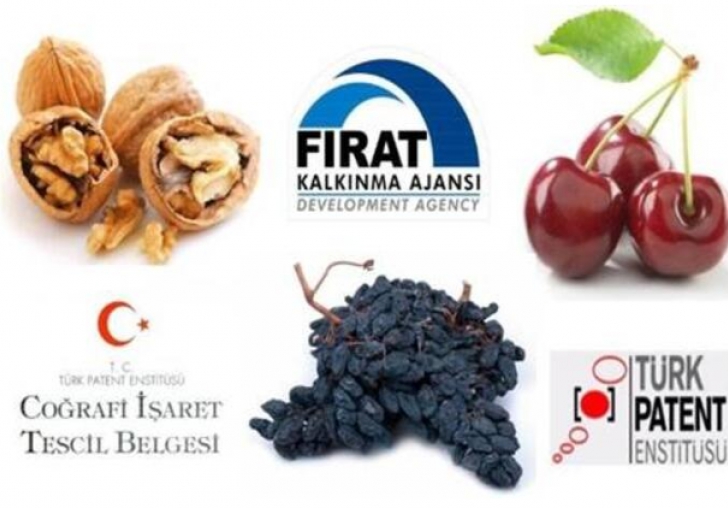 Banazı Karası Üzüme Coğrafi İşaret Tescili