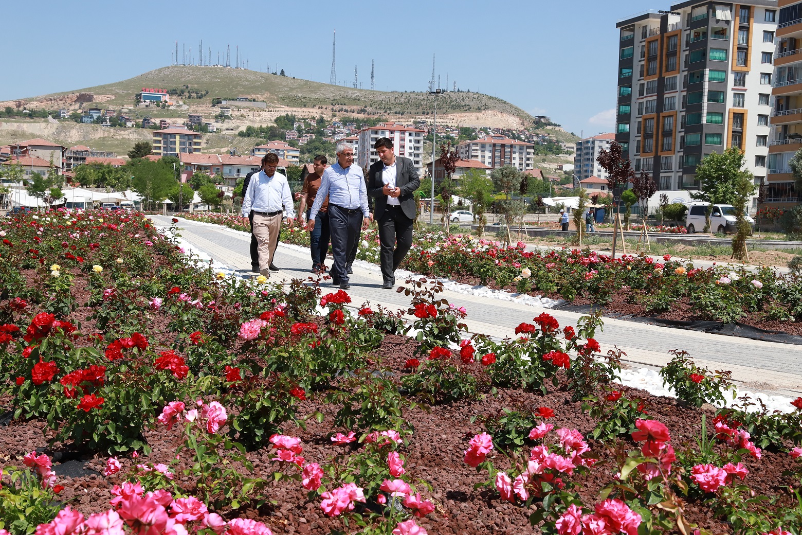 Battalgazi Belediyesi Gül Bahçesi Kuruyor