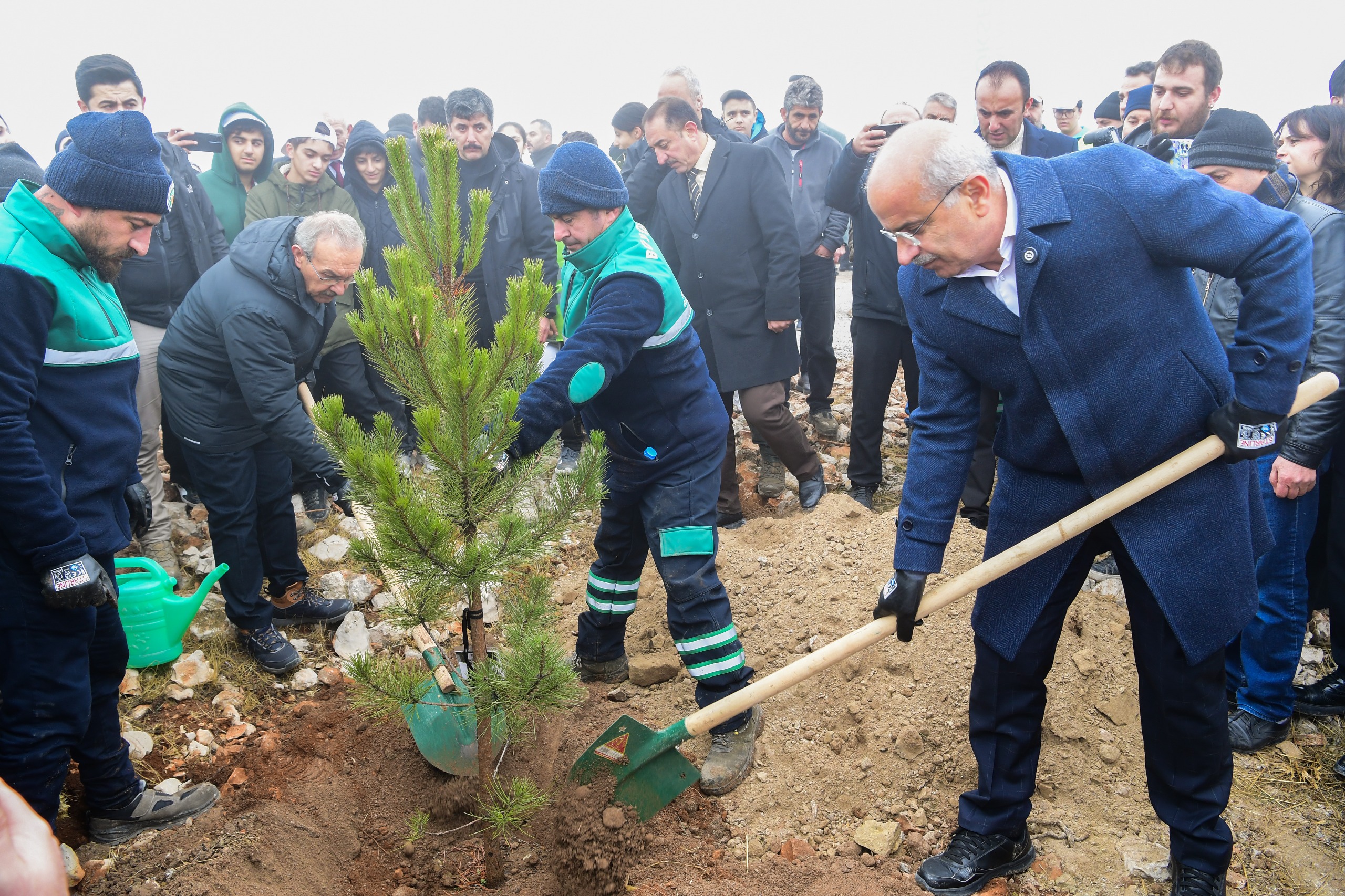 BEYDAĞI’NDA BİNLERCE FİDAN TOPRAKLA BULUŞTU