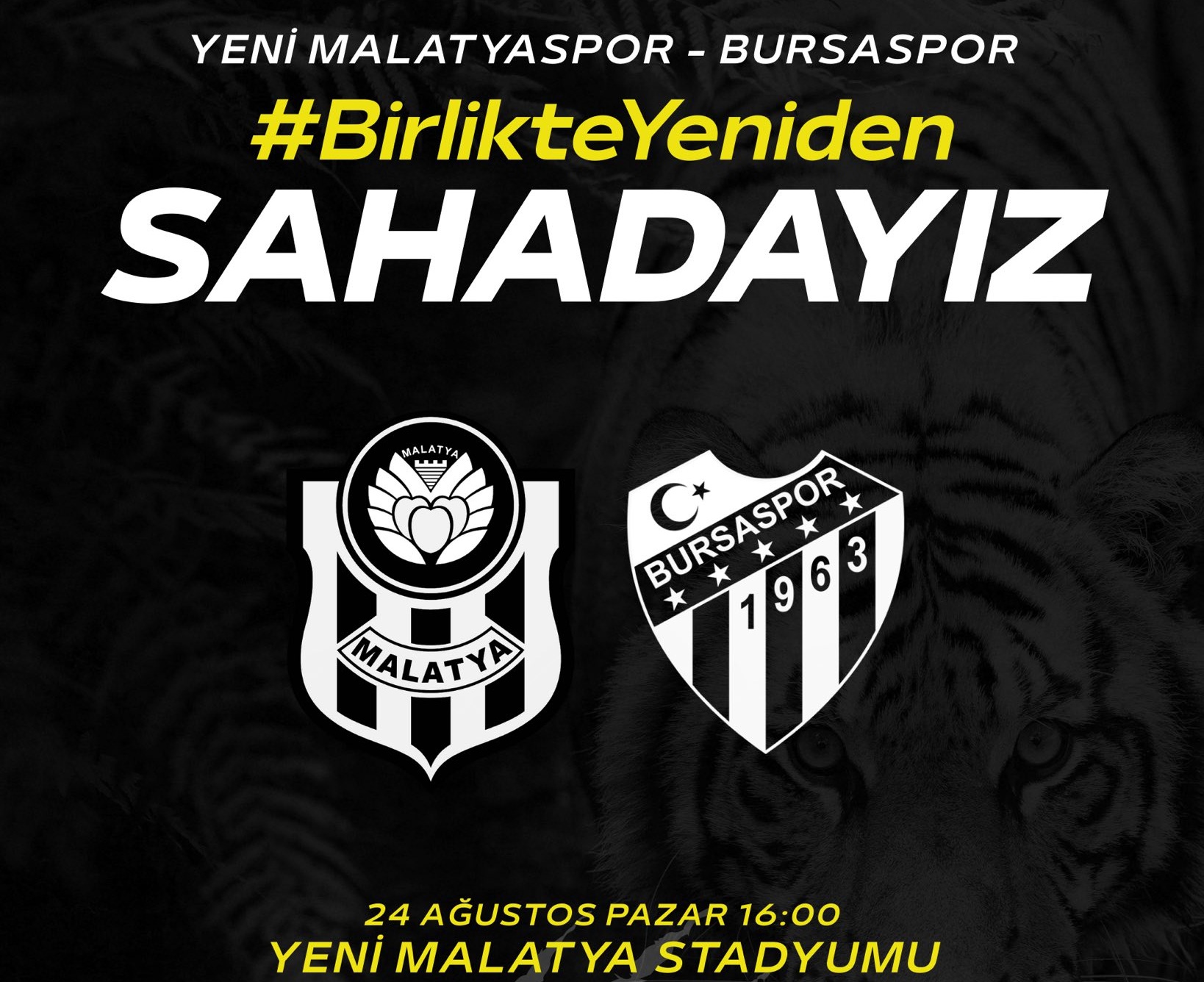 Bursaspor Maçı Malatya'da Oynanacak