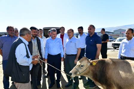 'Canlı Hayvan Pazarı, Bölge Ekonomisinin Mihenk Taşıdır'