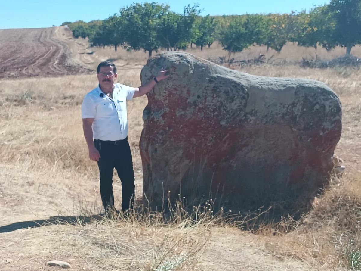 Darende'de Tarihi Aslanlar sahipsiz kaldı