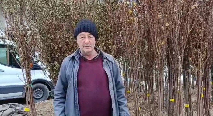 Darendeliler Dona Rağmen Kayısı Dikiyor!