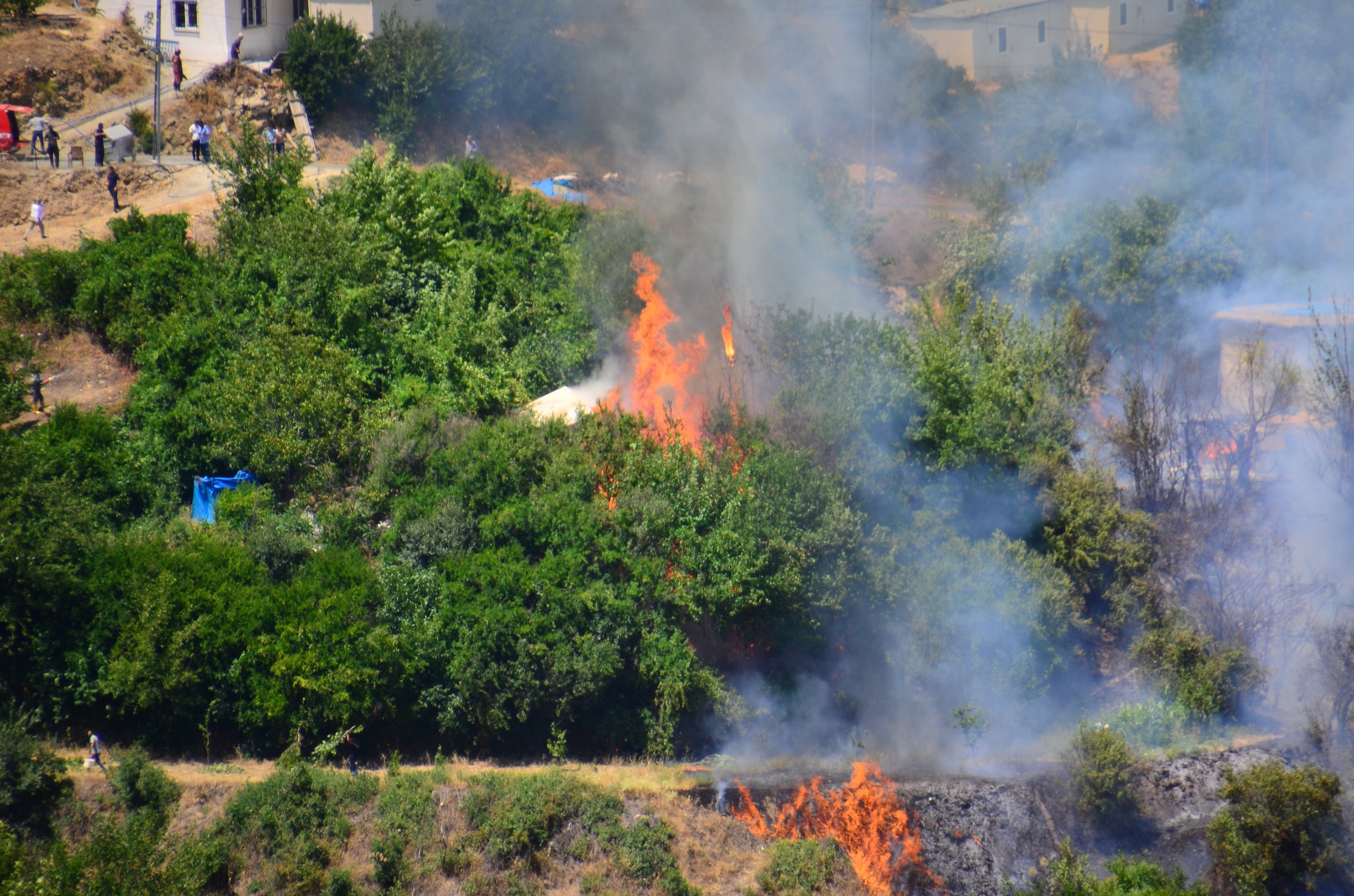 Doğanyol Konurtay'daki Yangın söndürüldü
