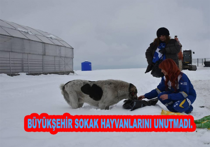 Doğaya yiyecek bırakıldı