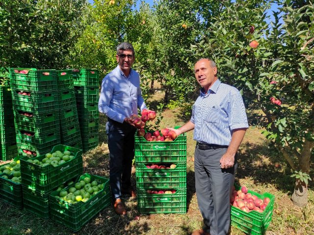 Esenlik Doğanşehir Elmasına El Attı