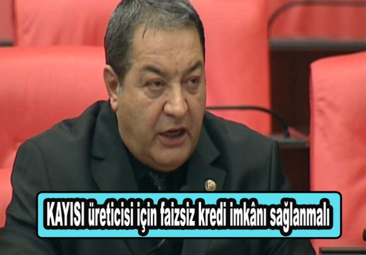 Fendoğlu: Kayısı üreticisine faizsiz kredi verilsin