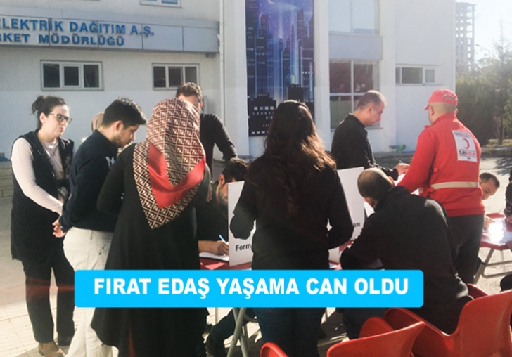 Fırat Elektrik Dağıtım A.Ş