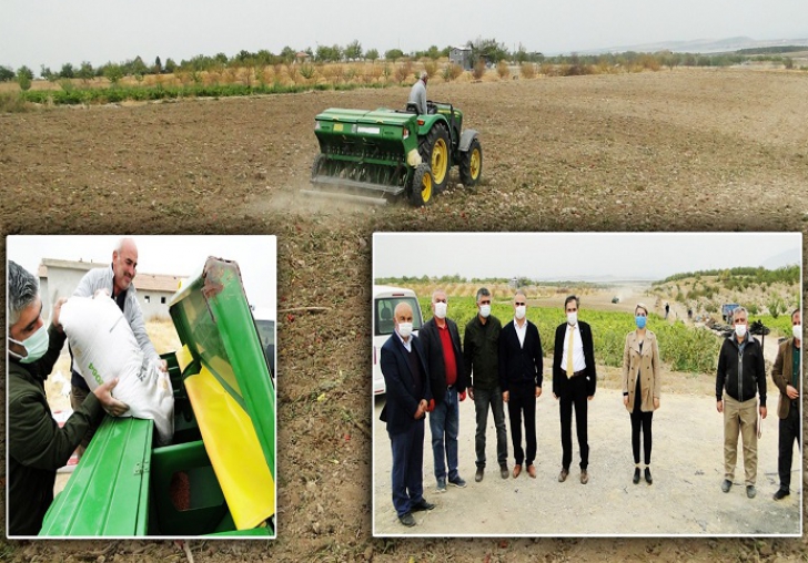 HABERE BAKINIZ; Yerli Tohumla Buğday Ekimi Yapılmış