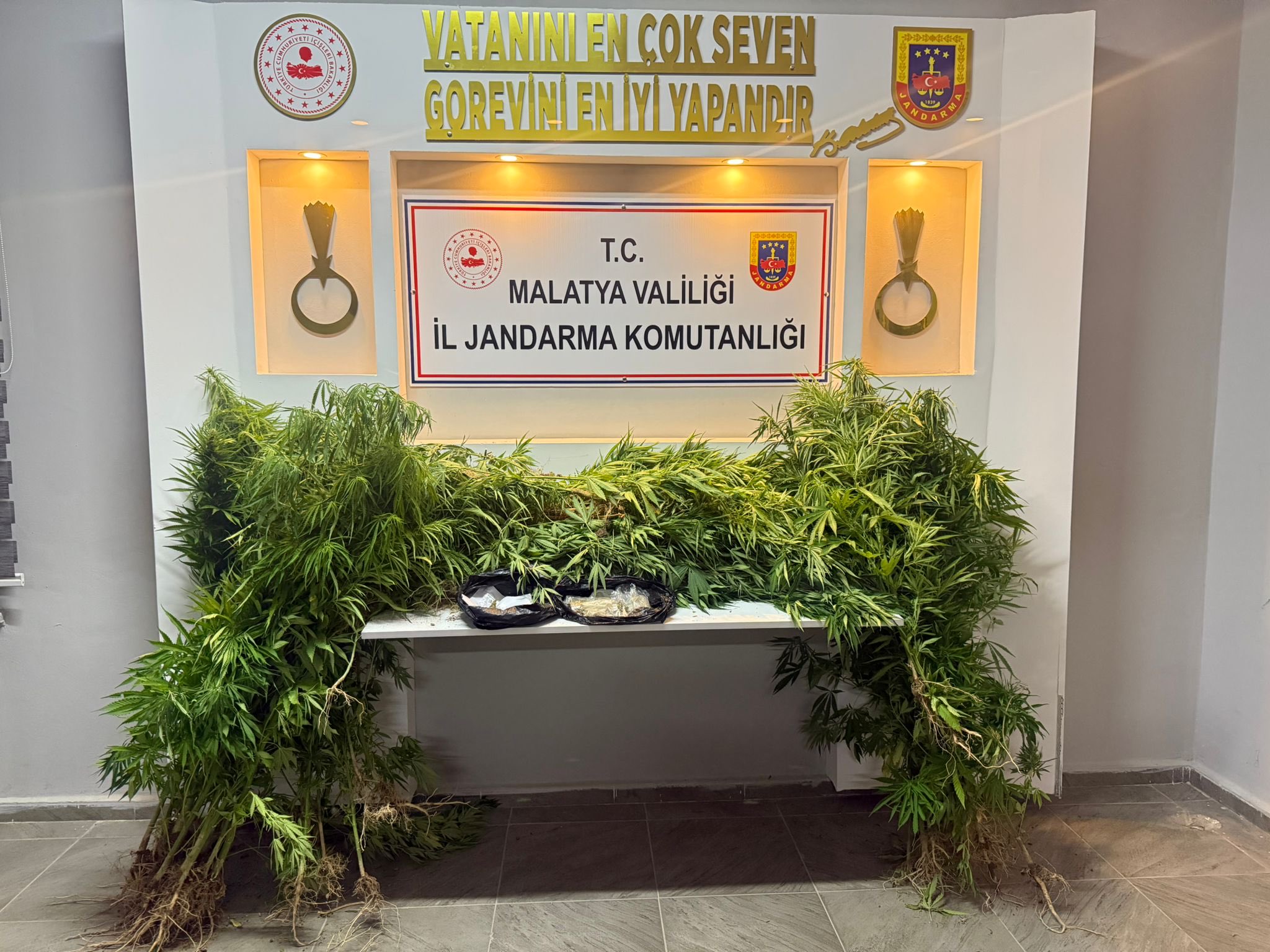 Jandarma Esrar  e Kenevir Ele Geçirdi