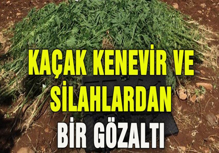 KAÇAK KENEVİR VE SİLAHLARDAN GÖZALTI