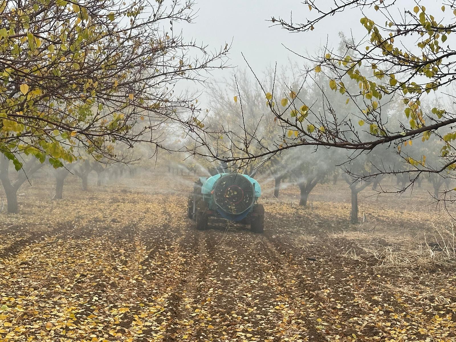 Kayısıda Sonbahar Mücadelesi Başladı