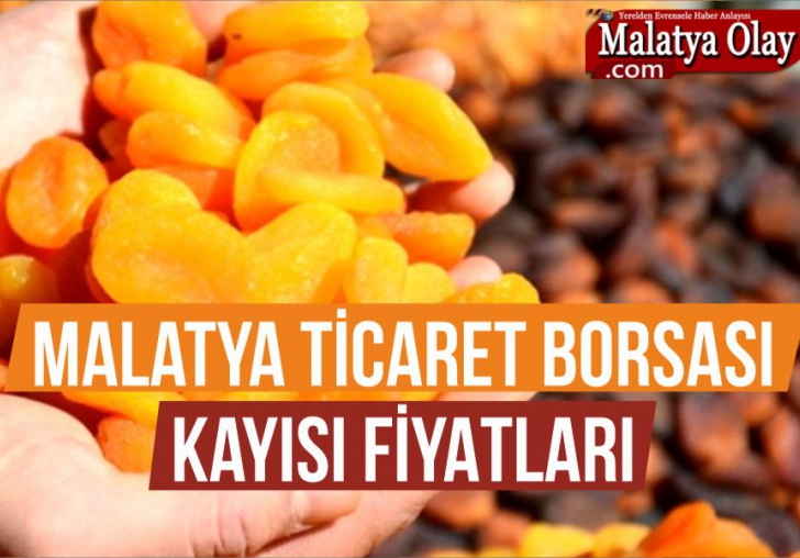 Kayısı Fiyatları Ne Durumda?