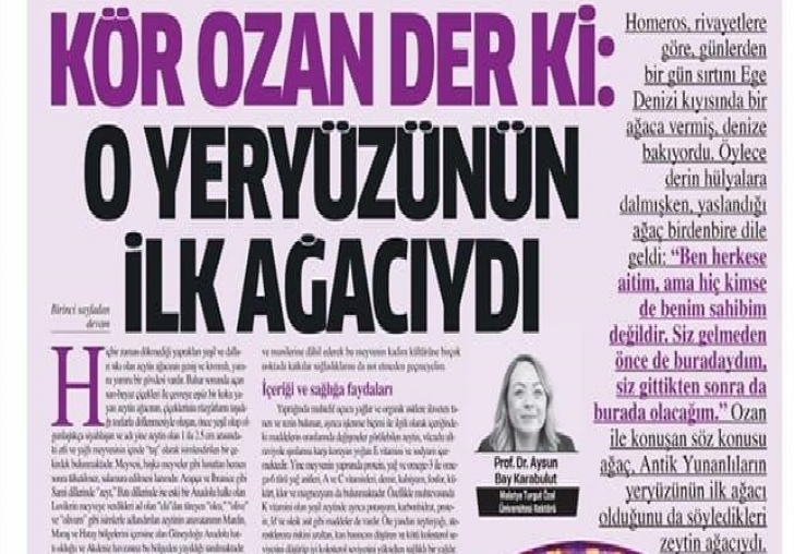 Kör ozan der ki: O yeryüzünün ilk ağacıydı