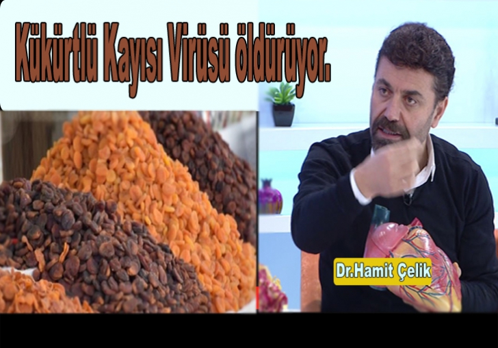 Kükürtlü Kayısı Virüsü öldürüyor.