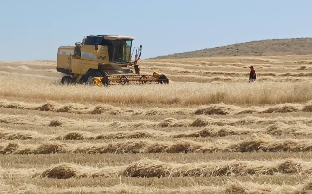 Malatya'da Biçerdöver Kontrolleri Sıkılaştırıldı
