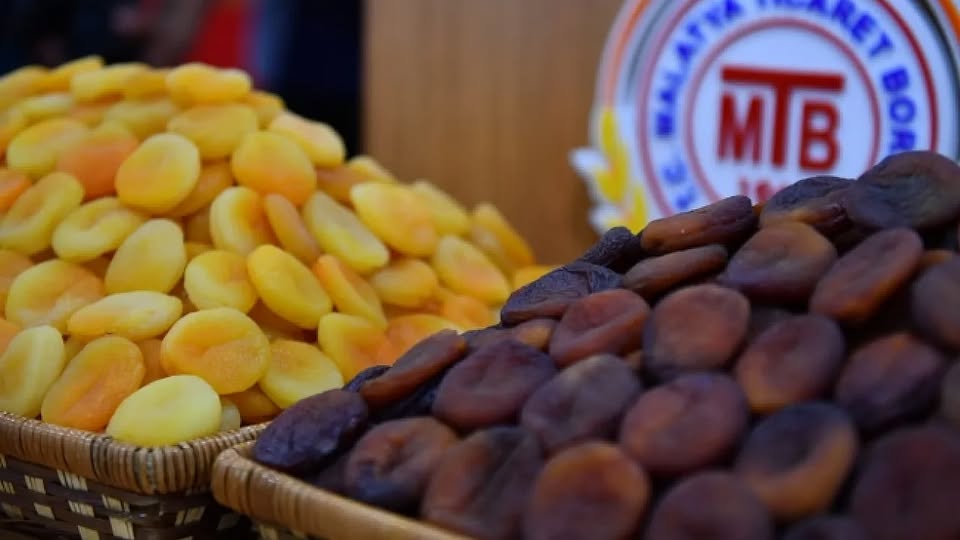 Malatya'da Kuru kayısı rekoltesi 100 bin tonu aşıyor