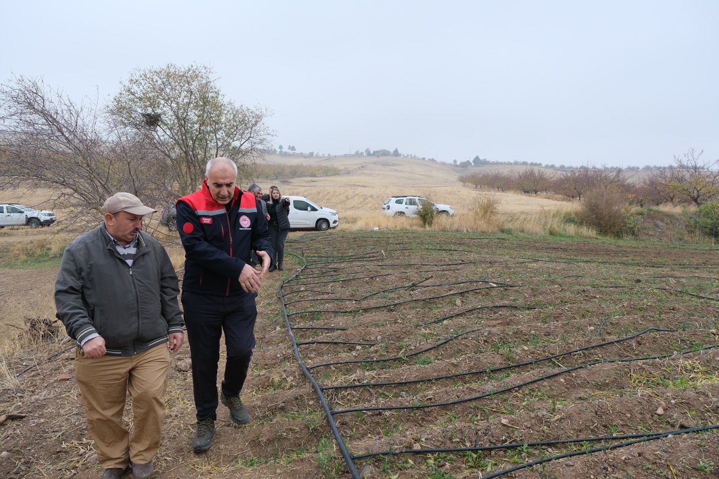 Malatya'da Safran Üretimi Başarılı Oldu