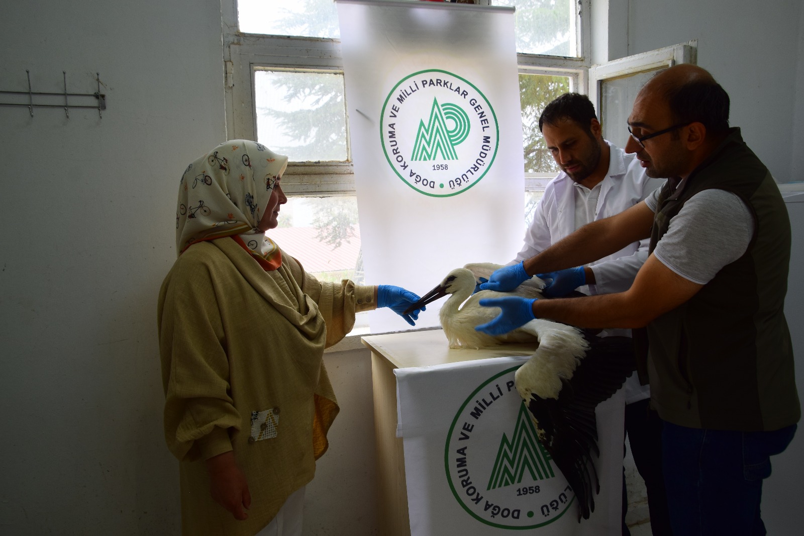 Malatya'da Yaralı leylek korumaya Alındı