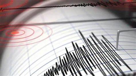 Malatya 4.6 İle Bir Kez Daha Sallandı