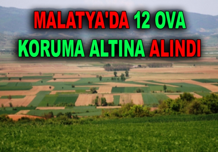 MALATYA'DA 12 OVA KORUMA ALTINA ALINDI