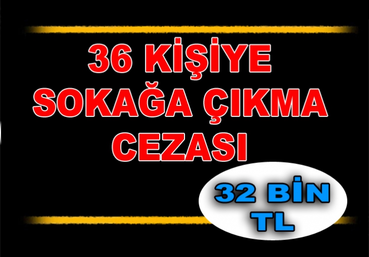 Malatya'da 36 kişiye sokağa çıkma cezası 