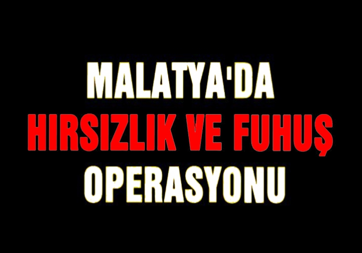  Malatya'da hırsızlık ve fuhuş operasyonu