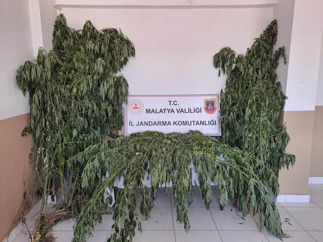 Malatya'da Kenevir Operasyonu
