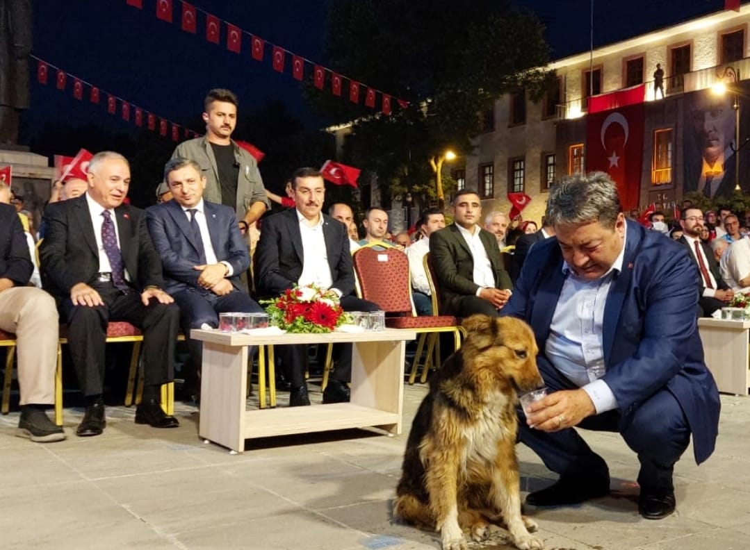 Malatya’nın maskotu protokol köpeği Milletvekili Fendoğlu'nun elinden su içti