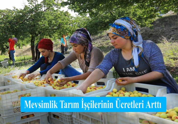 Mevsimlik Tarım İşçilerinin Ücretleri Arttı