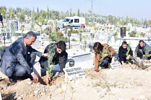 Mezarlıkta Ağaç Dikimi Yapıldı