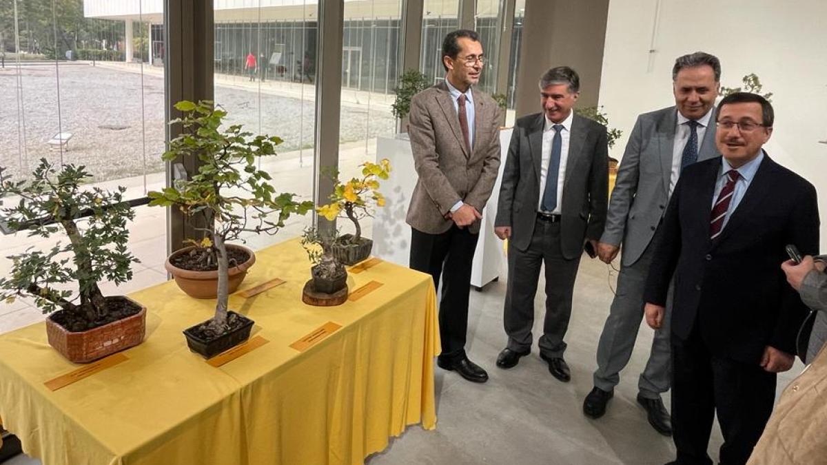 Minyatür Ağaç Sergisi Sanatseverlerin Ziyaretine Açıldı