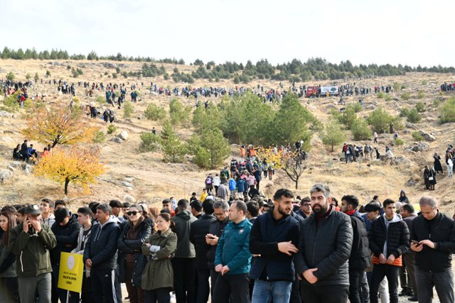 Orduzu Pınarbaşı'na Binlerce Fidan Dikildi