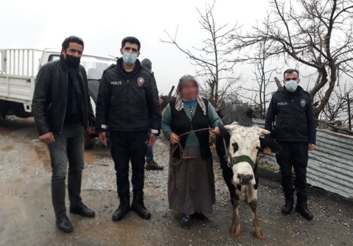 Pütürge de İnek Hırsızları Yakalandı