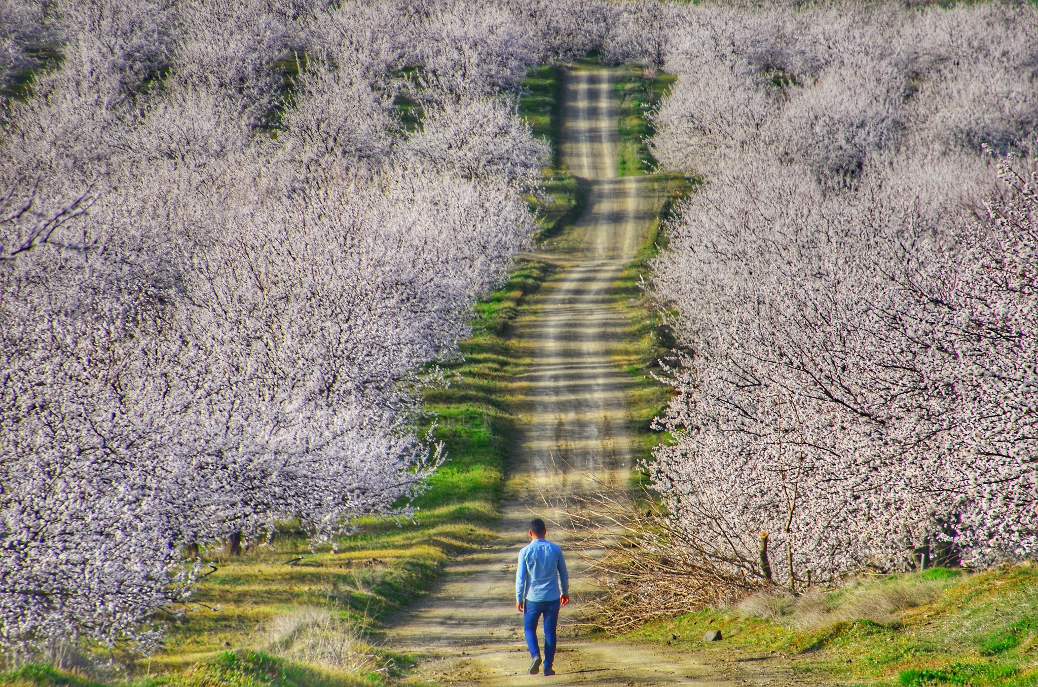 Sergilenmeye Değer Ödülü Aldı