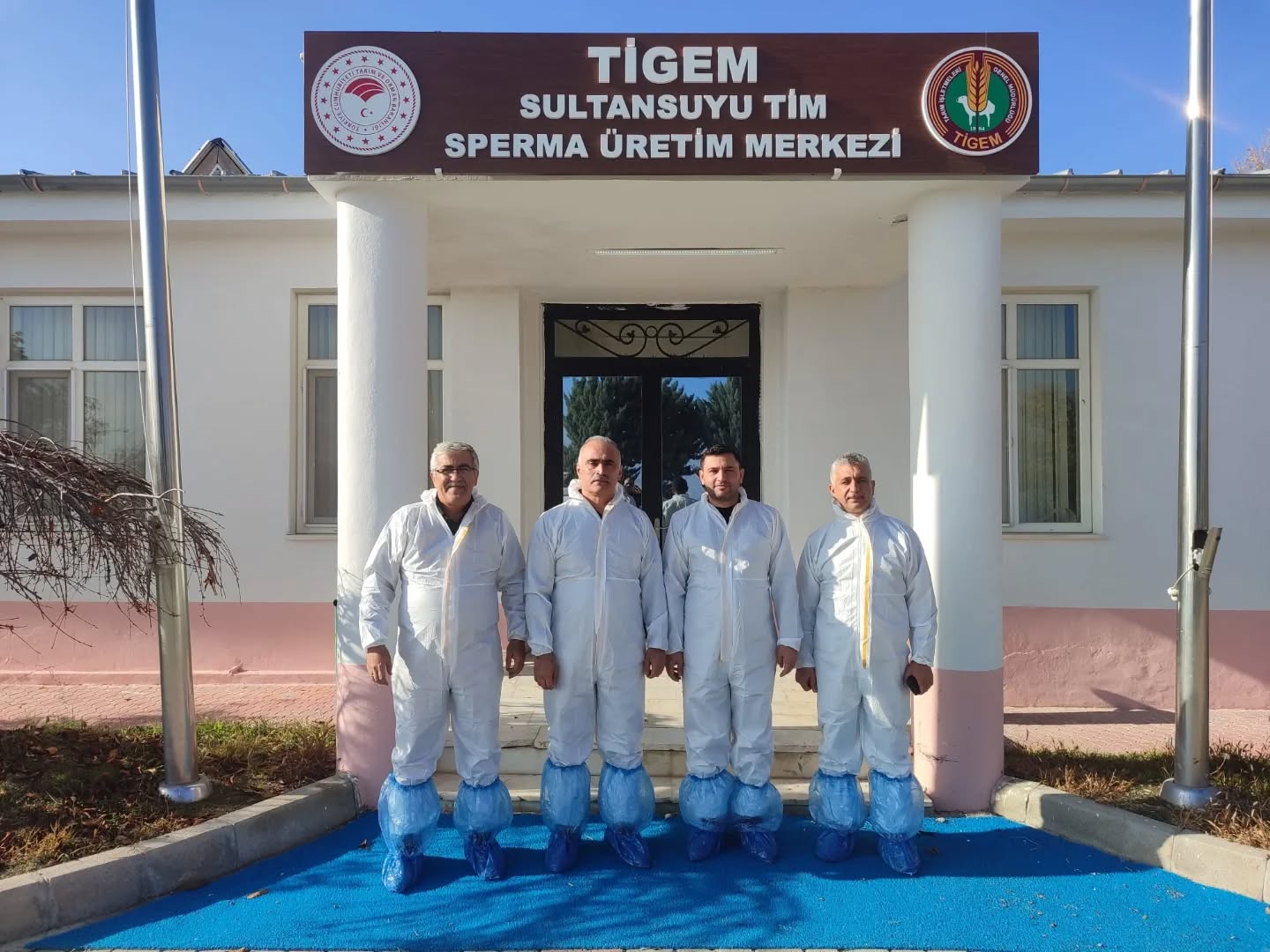 Sultansuyu'nda Yurtdışına Boğa Sperması İhraç Ediliyor