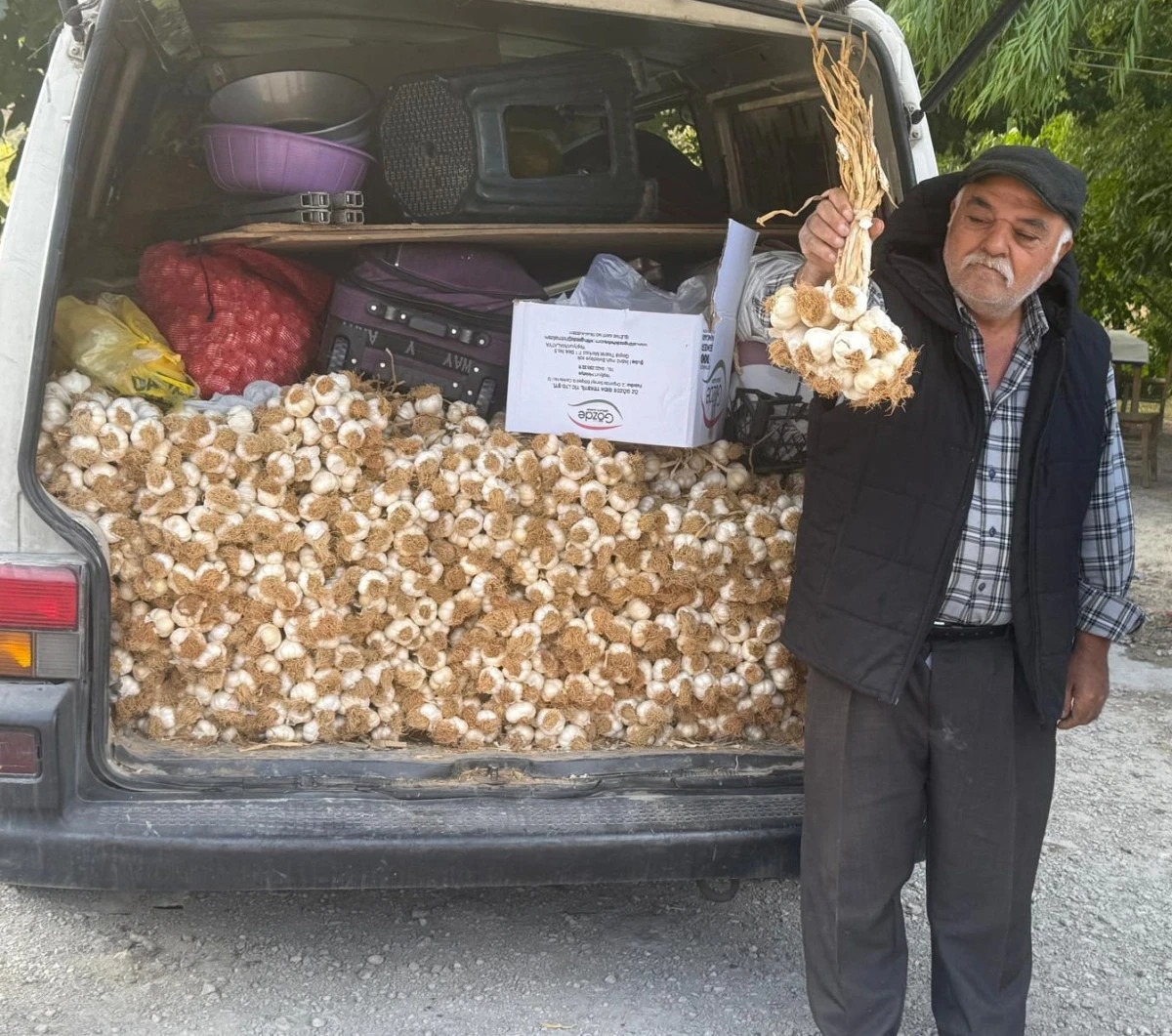 Taşköprü Sarımsağı 250 Liradan Satılıyor