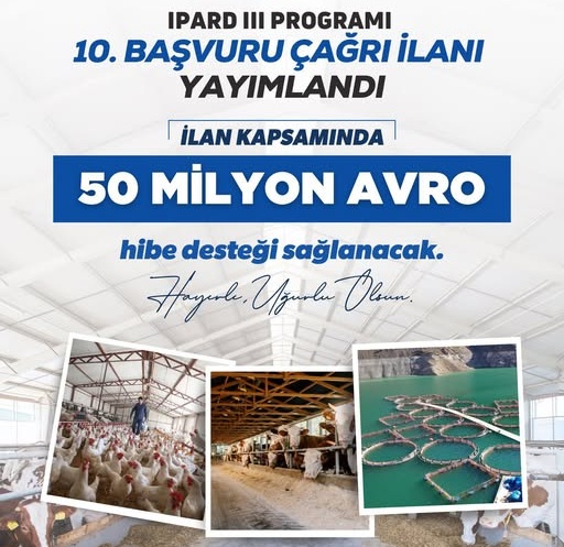 TKDK Başvuru Çağrı İlanı Yayımlandı!