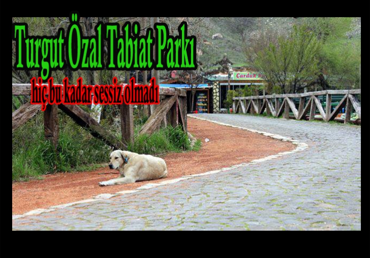 Turgut Özal Tabiat Parkında sessizlik
