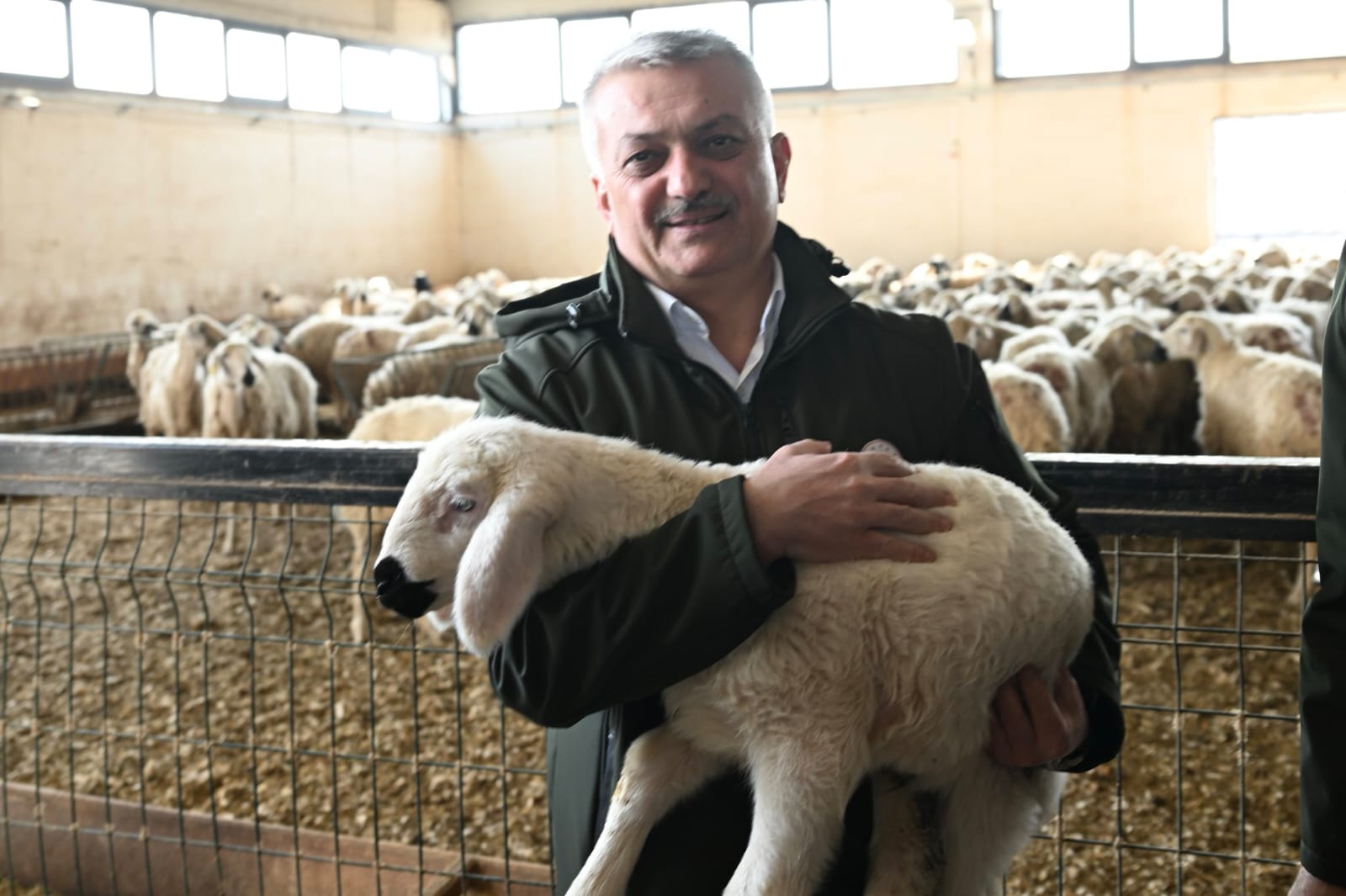 Vali Yazıcı Süt  Üretim Çiftliğini Ziyaret Etti