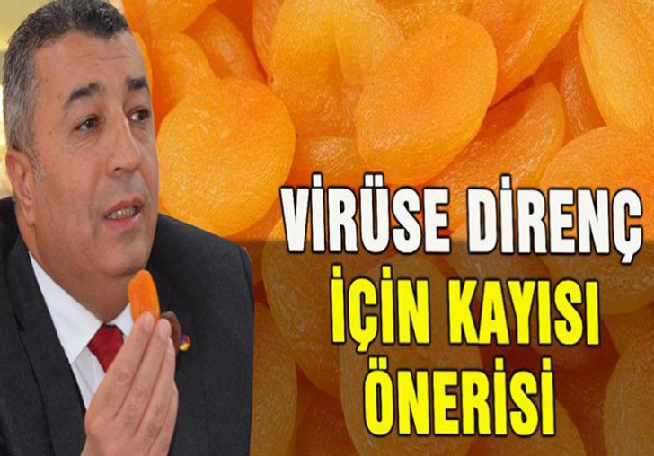 Virüse Direnç İçin Kayısı 