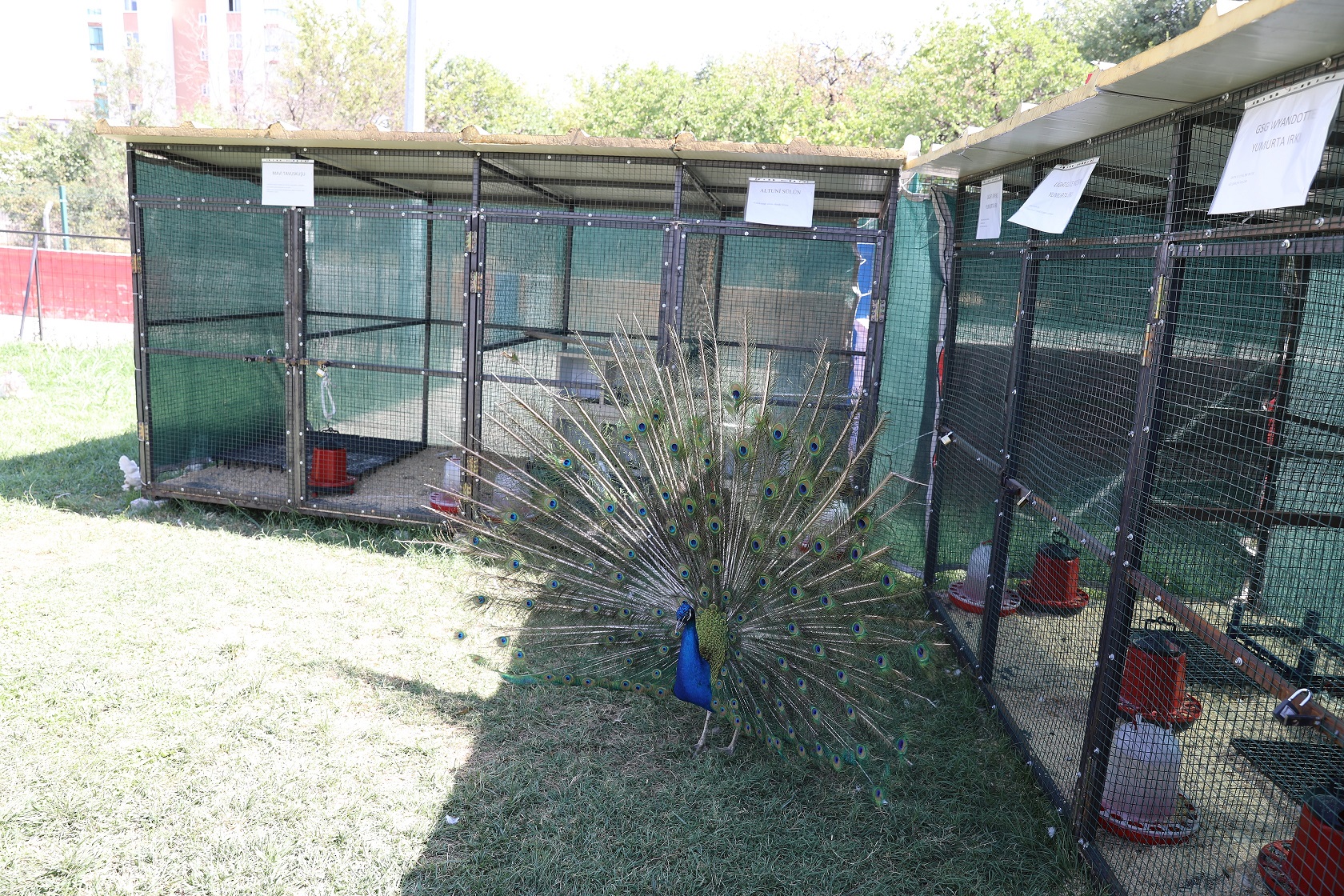 Yaşam Merkezi’nde Hayvanlarla Rehabilitasyon Başladı