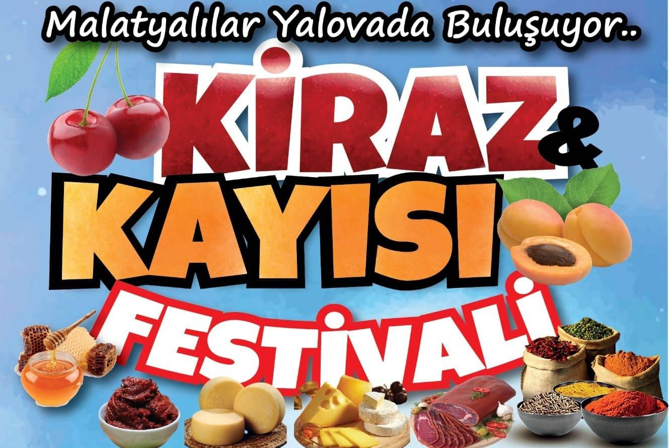 Yalova da Malatyalılar Kiraz ve Kayısı Festivali Yapıyor
