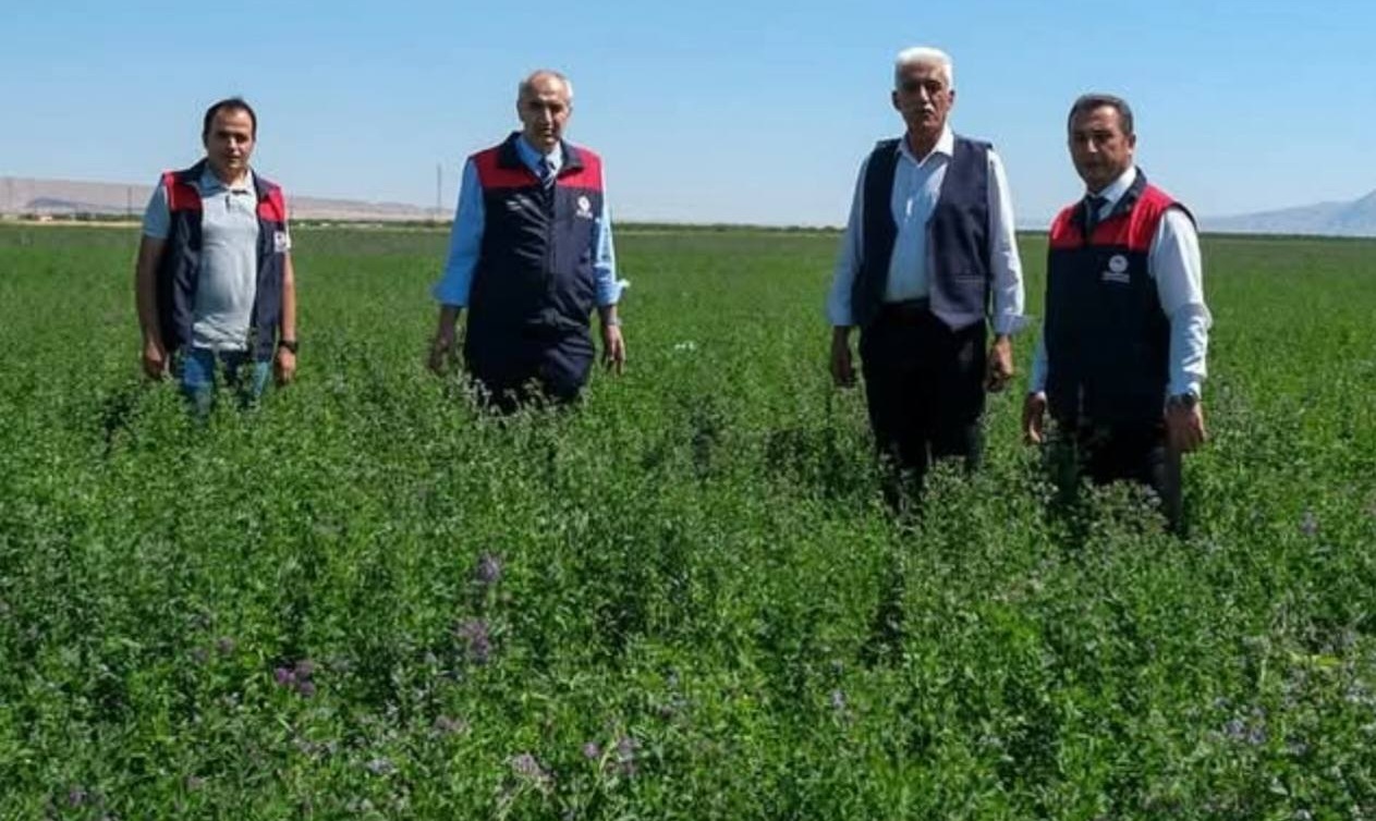 Yazıhan Ovası Malatya'yı Doyuracak